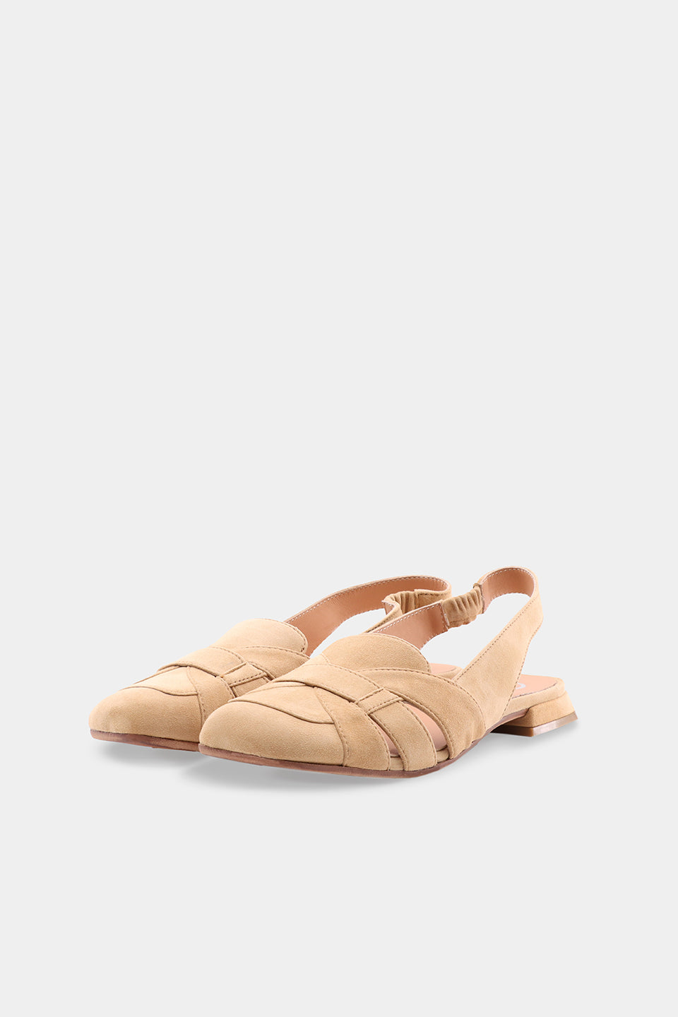 Elsa Nelly Camoscio - Tampa