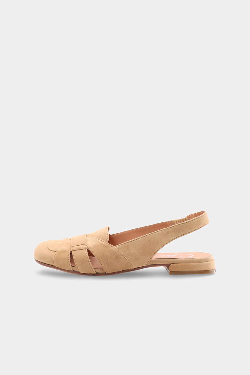 Elsa Nelly Camoscio - Tampa