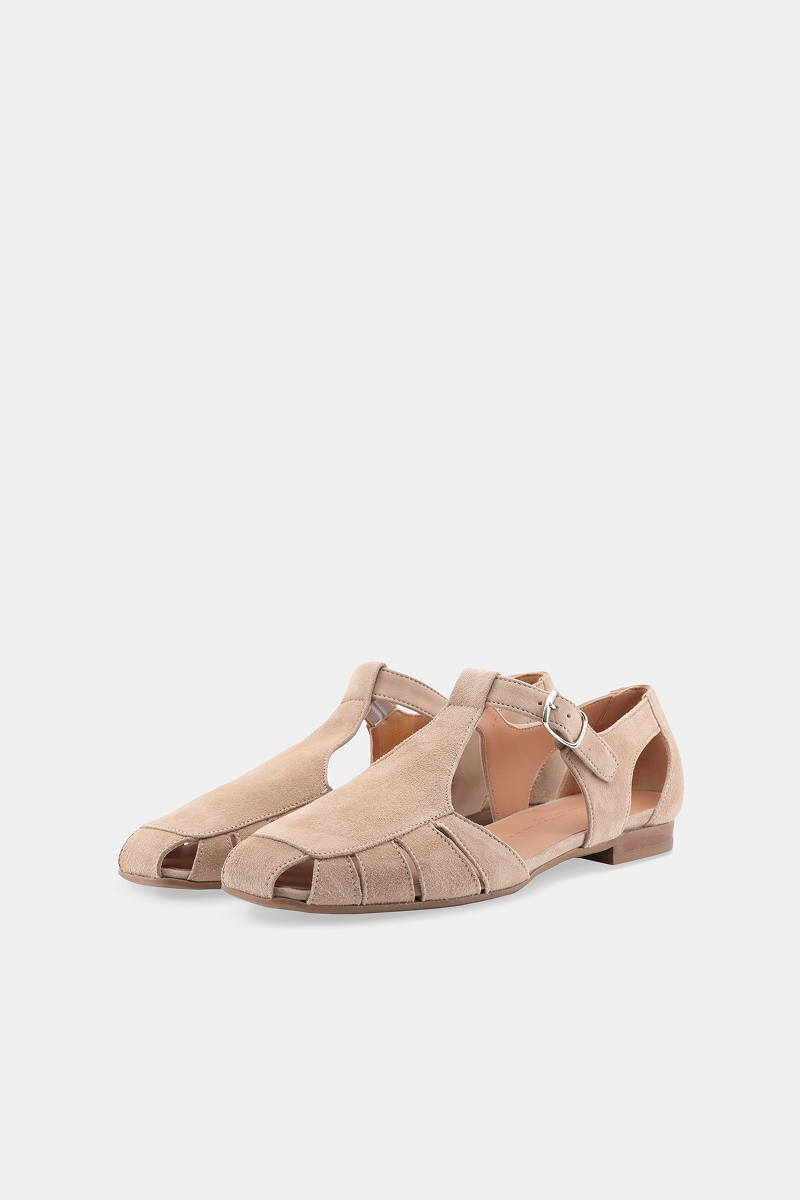 Algi Web Camoscio - Sahara