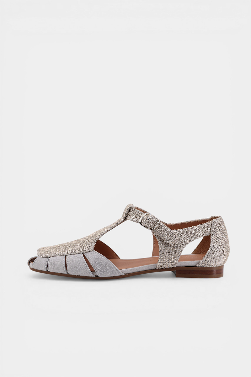 Algi Web Megy - Platino