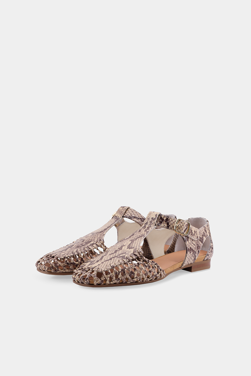 Clessia Web Pitty - Noce